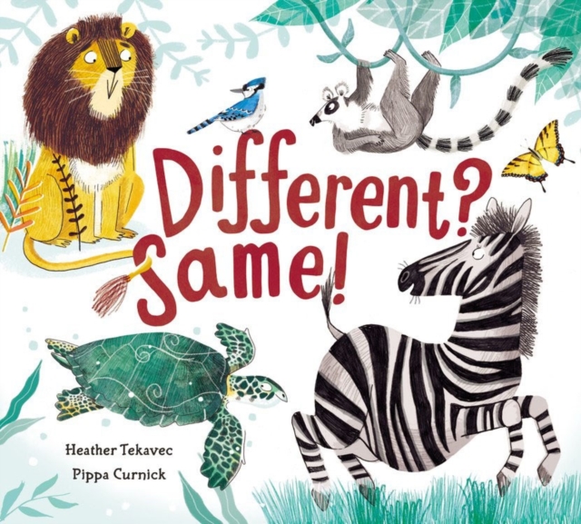 Different? Same!, Board book Book
