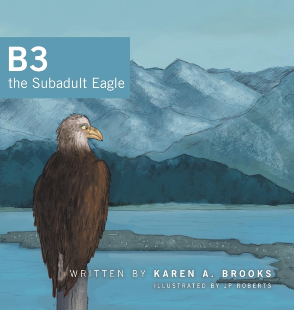 B3 the Subadult Eagle, Hardback Book