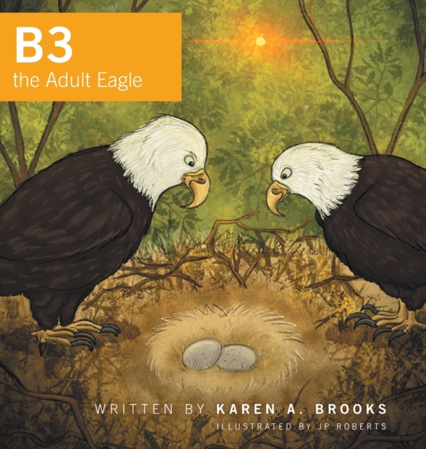 B3 the Adult Eagle, Hardback Book