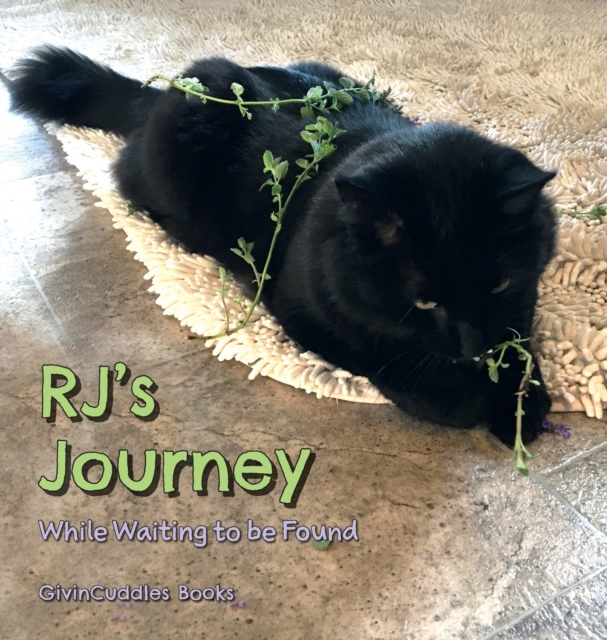 RJ's Journey : While Waiting to be Found, Hardback Book