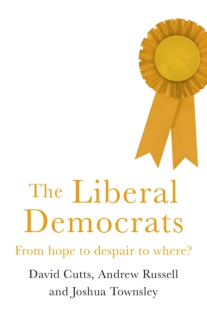 The Liberal Democrats : From Hope to Despair to Where?, Paperback / softback Book