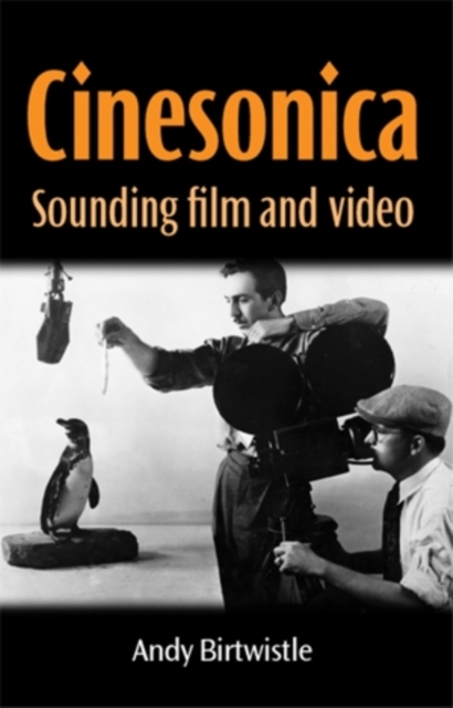 Cinesonica : Sounding film and video, PDF eBook