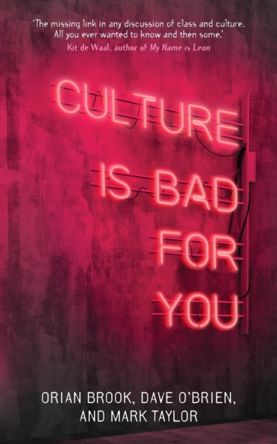 Culture is Bad for You : Inequality in the Cultural and Creative Industries, Paperback / softback Book