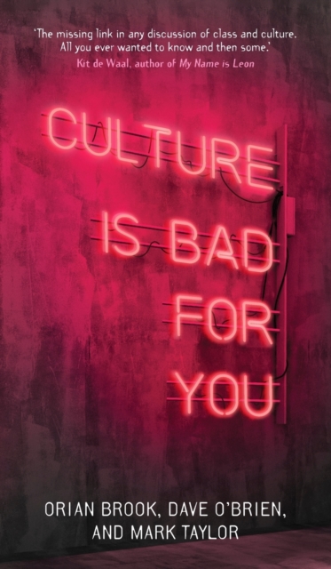 Culture is Bad for You : Inequality in the Cultural and Creative Industries, Hardback Book