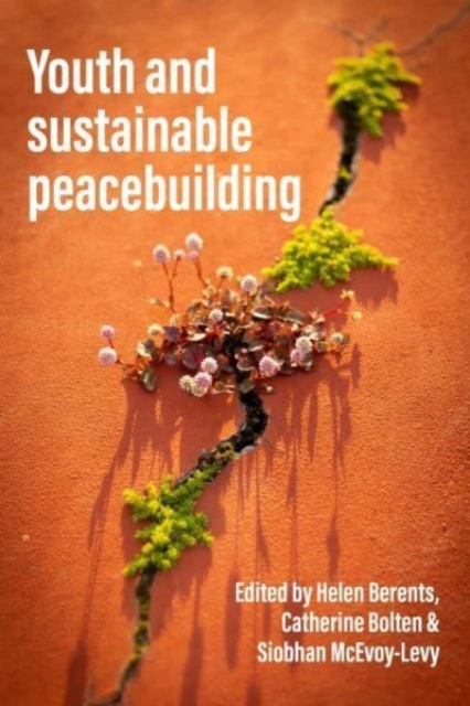 Youth and Sustainable Peacebuilding, Hardback Book