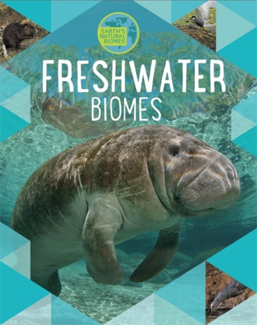 Earth's Natural Biomes: Freshwater, Hardback Book