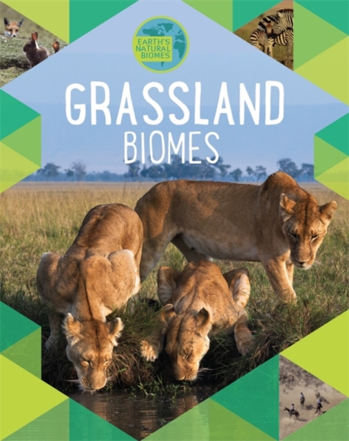 Earth's Natural Biomes: Grassland, Hardback Book
