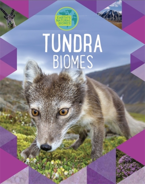 Earth's Natural Biomes: Tundra, Hardback Book