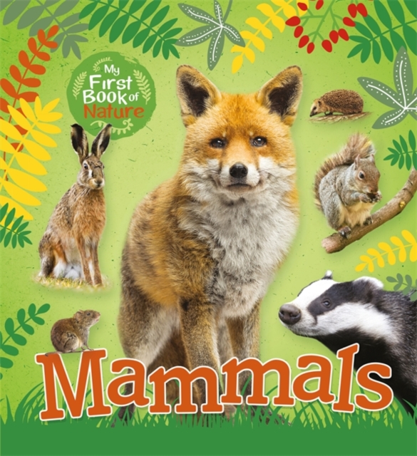My First Book of Nature: Mammals, Hardback Book
