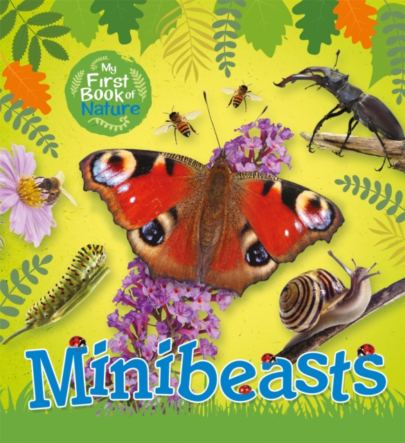 My First Book of Nature: Minibeasts, Hardback Book