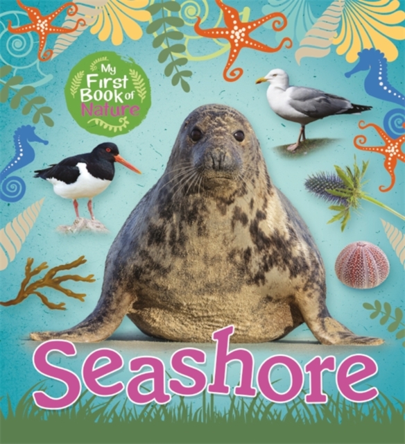 My First Book of Nature: Seashore, Hardback Book