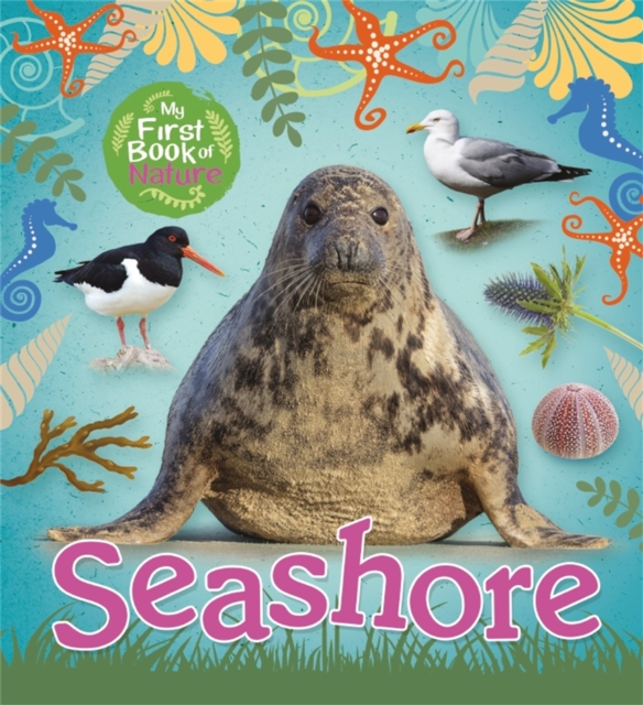 My First Book of Nature: Seashore, Paperback / softback Book