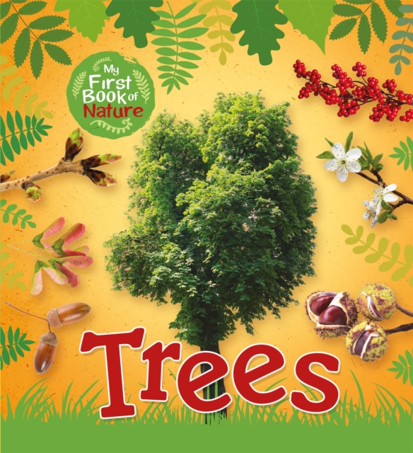 My First Book of Nature: Trees, Hardback Book