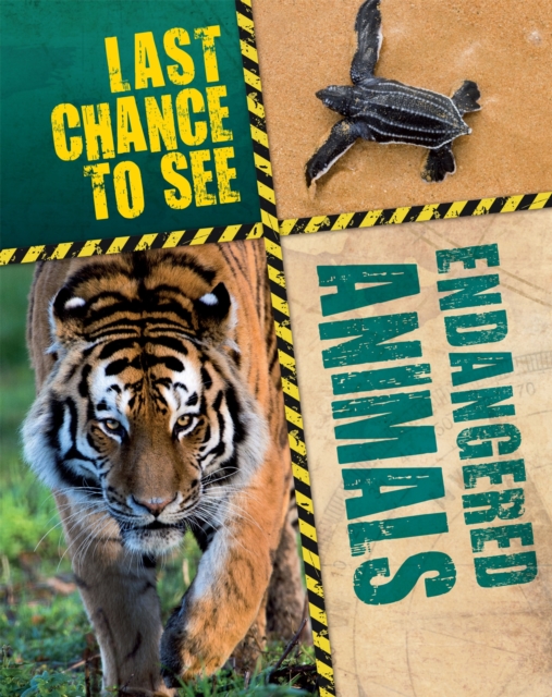 Last Chance to See: Endangered Animals, Paperback / softback Book