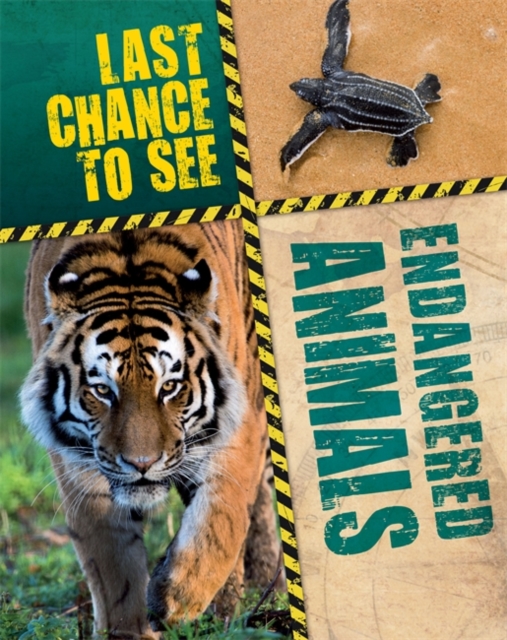 Last Chance to See: Endangered Animals, Hardback Book