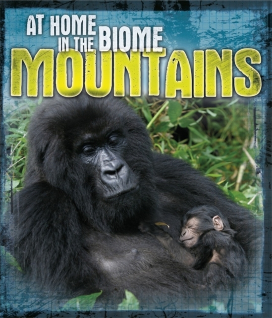 At Home in the Biome: Mountains, Paperback / softback Book