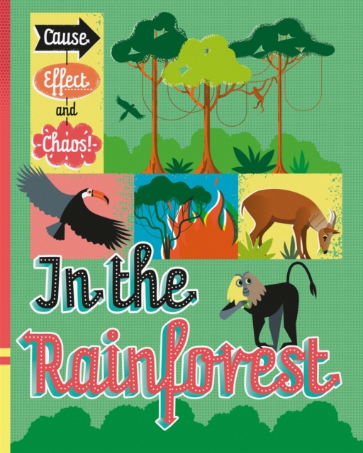 Cause, Effect and Chaos!: In the Rainforest, Paperback / softback Book