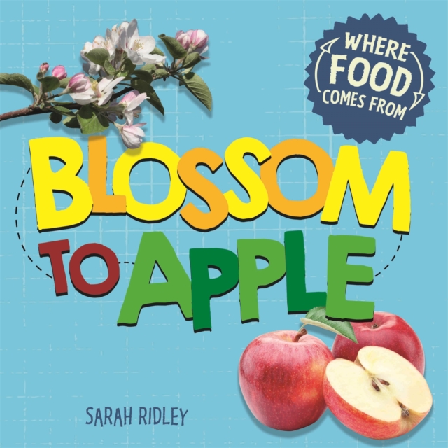 Where Food Comes From: Blossom to Apple, Paperback / softback Book
