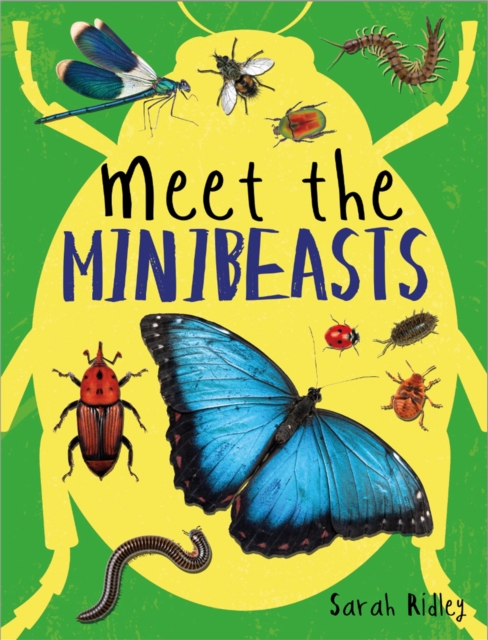 Meet the Minibeasts, Paperback / softback Book