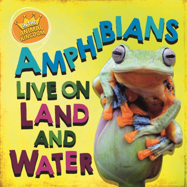 In the Animal Kingdom: Amphibians Live on Land and in Water, Hardback Book