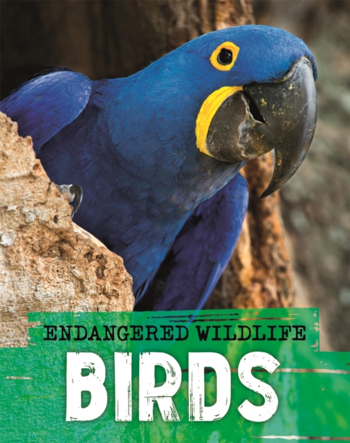 Endangered Wildlife: Rescuing Birds, Hardback Book