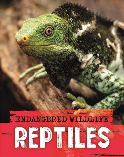 Endangered Wildlife: Rescuing Reptiles, Hardback Book