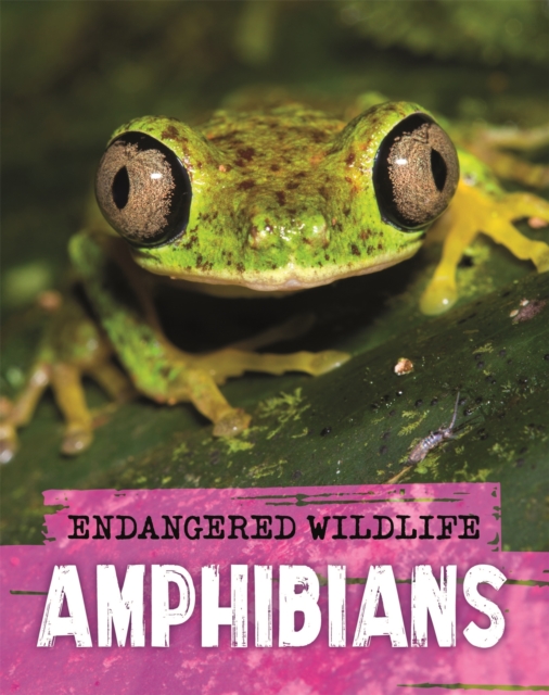 Endangered Wildlife: Rescuing Amphibians, Hardback Book