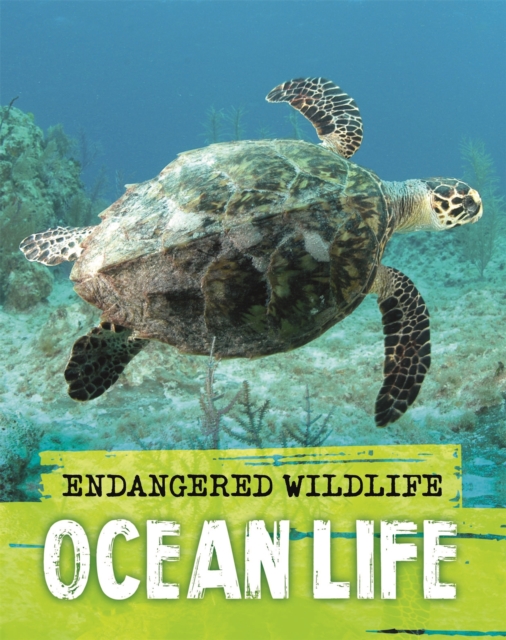 Endangered Wildlife: Rescuing Ocean Life, Hardback Book