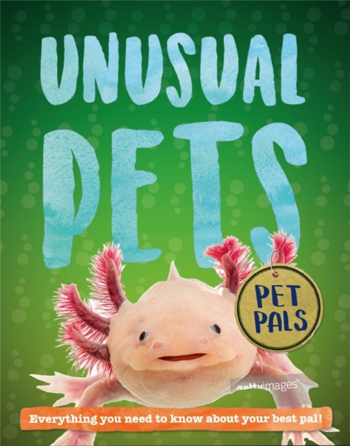 Pet Pals: Unusual Pets, Paperback / softback Book