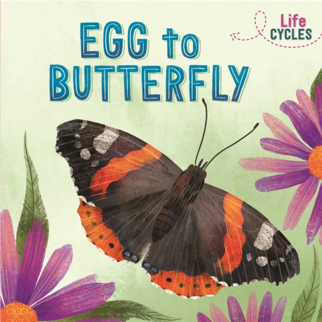 Life Cycles: Egg to Butterfly, Hardback Book