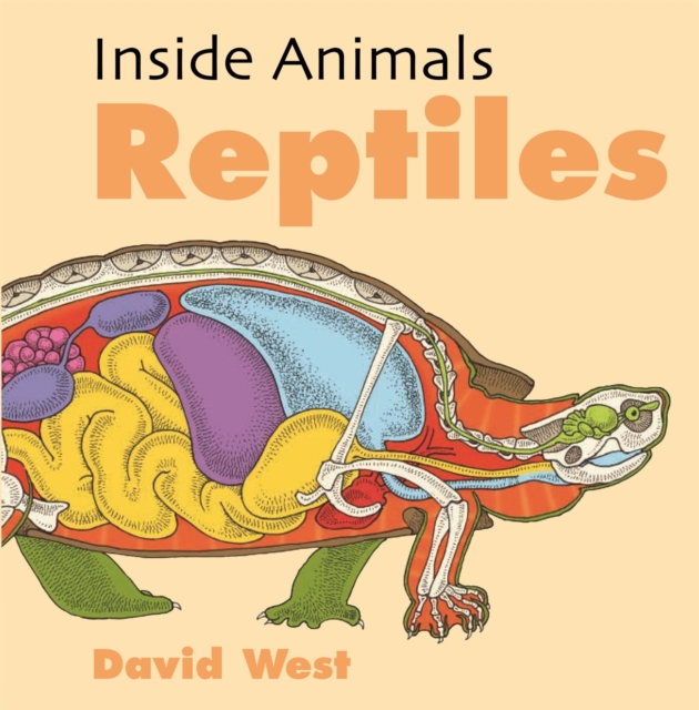 Inside Animals: Reptiles, Hardback Book