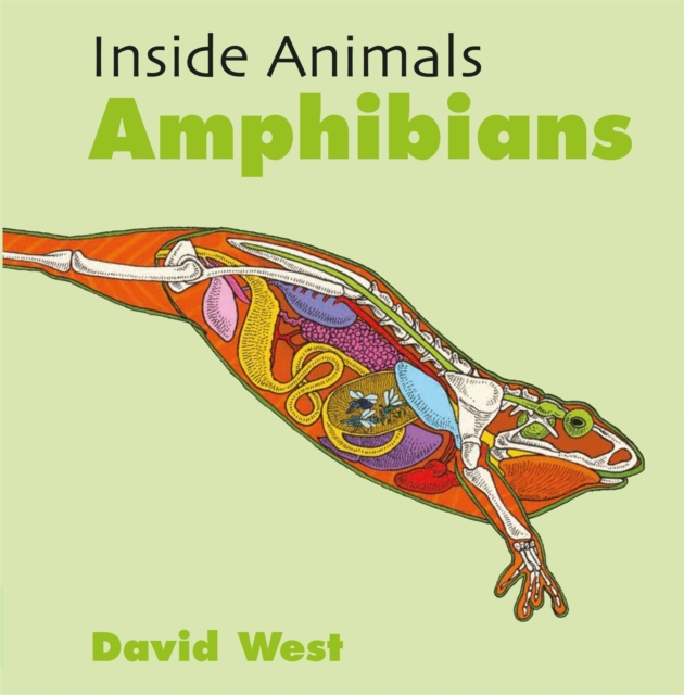 Inside Animals: Amphibians, Hardback Book