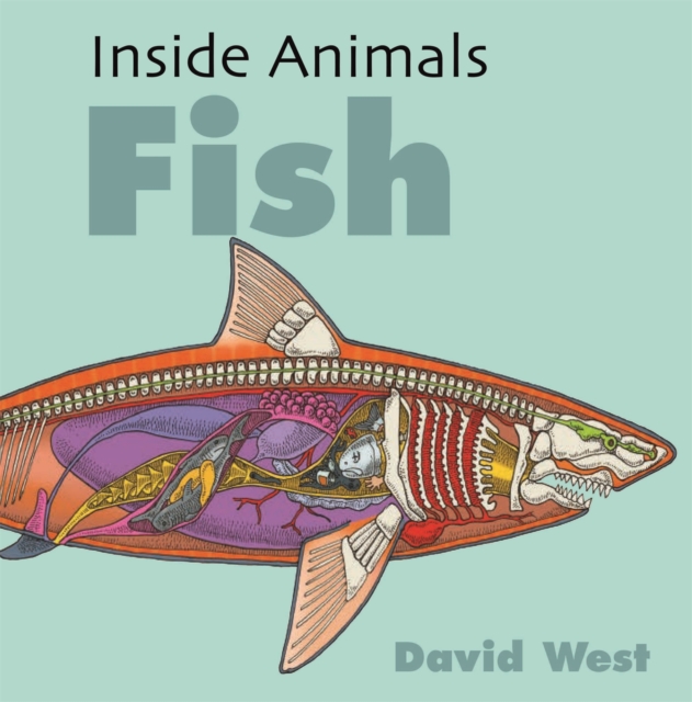 Inside Animals: Fish, Hardback Book