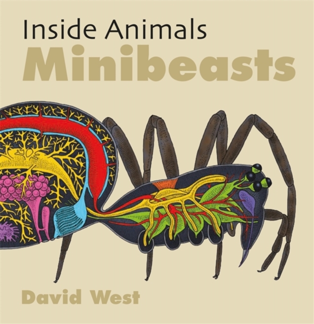 Inside Animals: Minibeasts, Paperback / softback Book