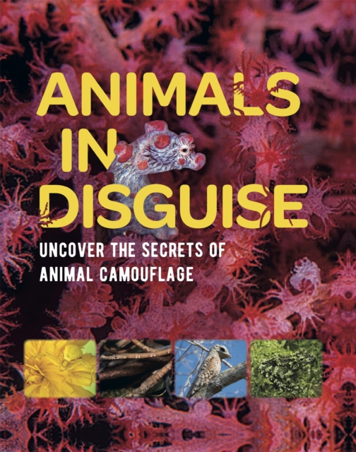 Animals in Disguise, Hardback Book