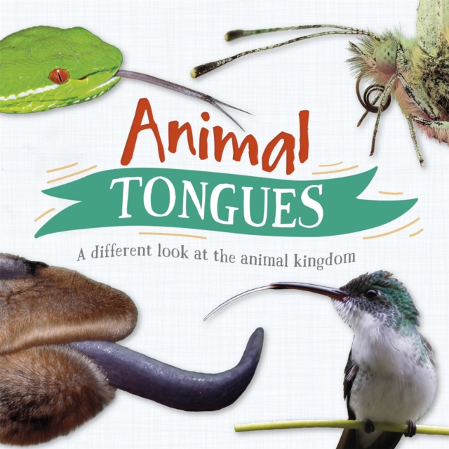 Animal Tongues : A different look at the animal kingdom, Hardback Book