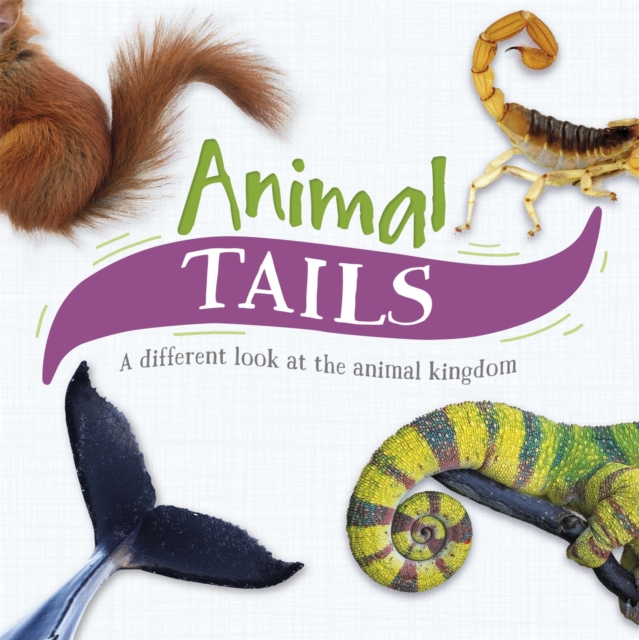 Animal Tails : A different look at the animal kingdom, Hardback Book