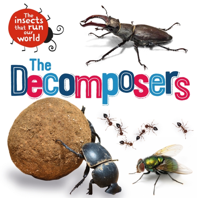 The Insects that Run Our World: The Decomposers, Paperback / softback Book