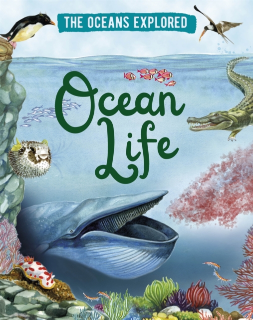 The Oceans Explored: Ocean Life, Hardback Book