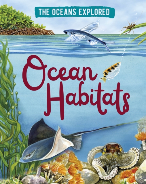 The Oceans Explored: Ocean Habitats, Hardback Book