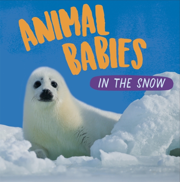 Animal Babies: In the Snow, Hardback Book