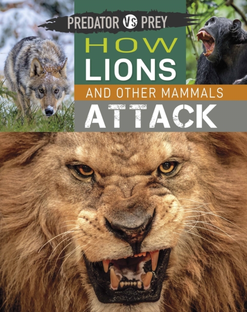 Predator vs Prey: How Lions and other Mammals Attack, Paperback / softback Book