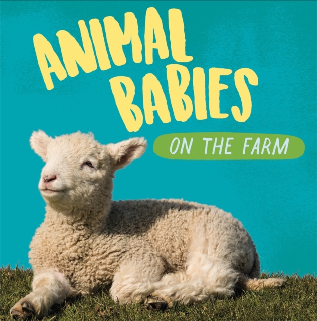 Animal Babies: On the Farm, Paperback / softback Book