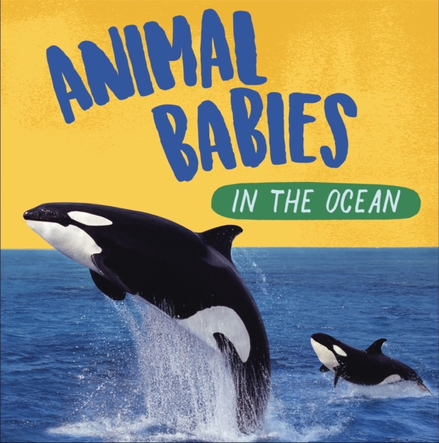 Animal Babies: In the Ocean, Paperback / softback Book