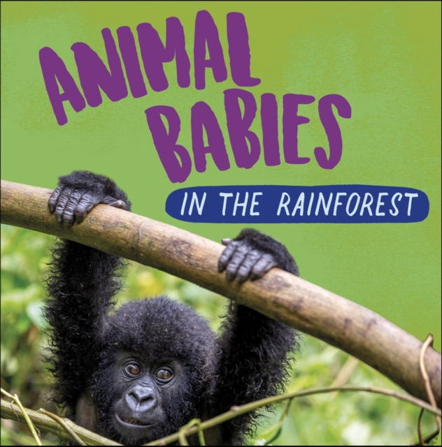 Animal Babies: In the Rainforest, Hardback Book
