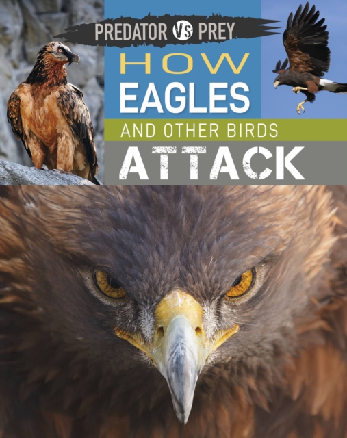Predator vs Prey: How Eagles and other Birds Attack, Paperback / softback Book