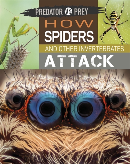 Predator vs Prey: How Spiders and other Invertebrates Attack, Hardback Book