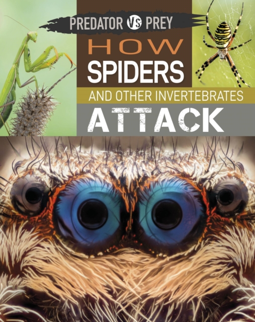 Predator vs Prey: How Spiders and other Invertebrates Attack, Paperback / softback Book