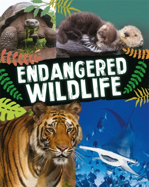Endangered Wildlife, Hardback Book