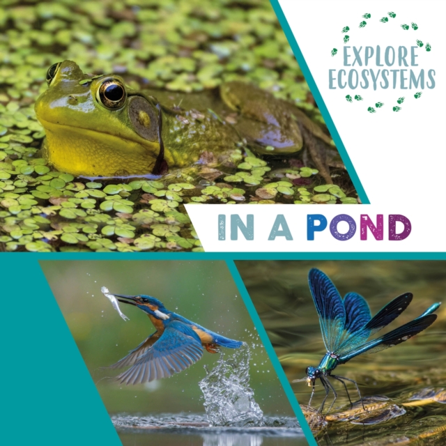 Explore Ecosystems: In a Pond, Paperback / softback Book